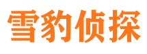 青云谱市私家侦探